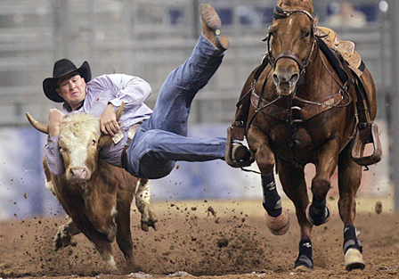 gallery_houston_steer_wrestling1